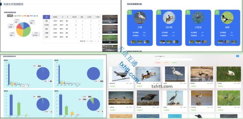 村家AI鸟类监测识别系统 科技守护乡村生态与农业生产